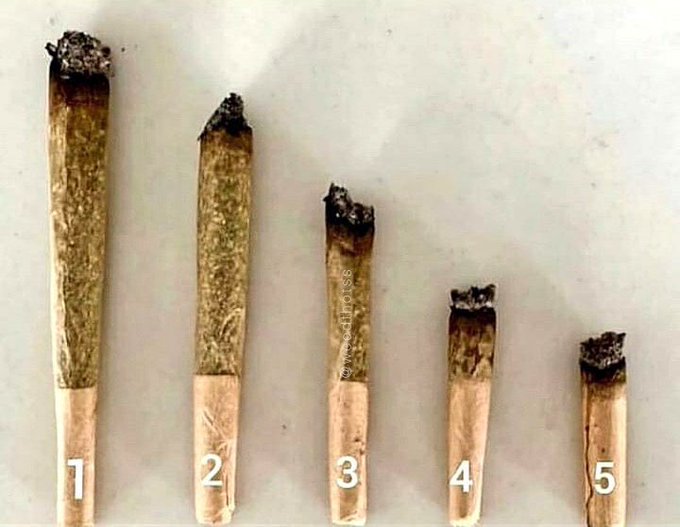 HerbApproach's tweet photo. which number you reaching when you smoke alone? 💭🍁⬇️ 

#Mmemberville #canadianstoners #cloudsovercanada #weedcommunity #canadianmmj https://t.co/35BDZagKos