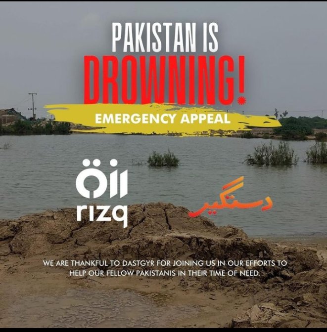 Rizq is truly humbled by our collaboration with <a href="/dastgyr/">Dastgyr</a> to ensure relief to flood-affected communities.

Donation link: sharerizq.com/en/donate
 
#FloodsInPakistan #FloodRelief #FloodReliefFund2022 #FloodSituation #PakistanFloods #PakistanisDrowning #ڈوب_رہا_ہے_پاکستان #donate