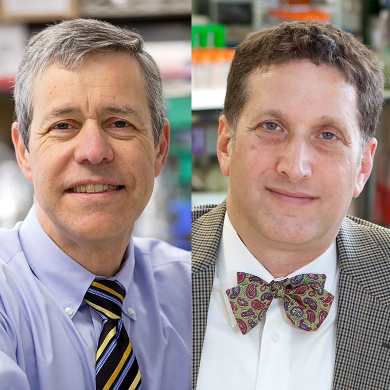 EinsteinMed's tweet photo. Harris Goldstein, M.D., and Steven C. Almo, Ph.D., have received a five-year, $4.2 million @NIH grant to develop and evaluate new strategies to boost HIV-specific immune responses to prevent the resurgence of #HIV infection. Learn more at https://t.co/qBJjXINZcS https://t.co/svj53aqpm1