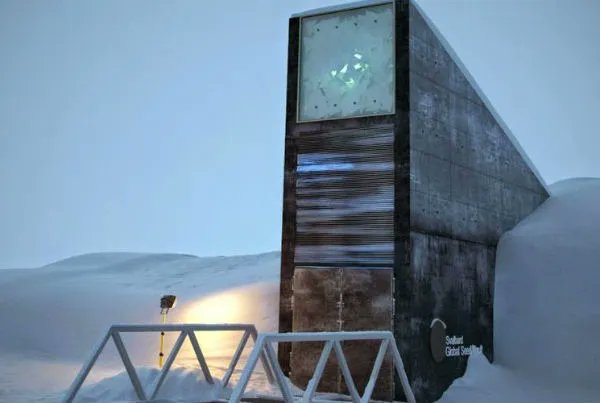 El Banco Mundial de Semillas de Svalbard
 buff.ly/33RRvSN