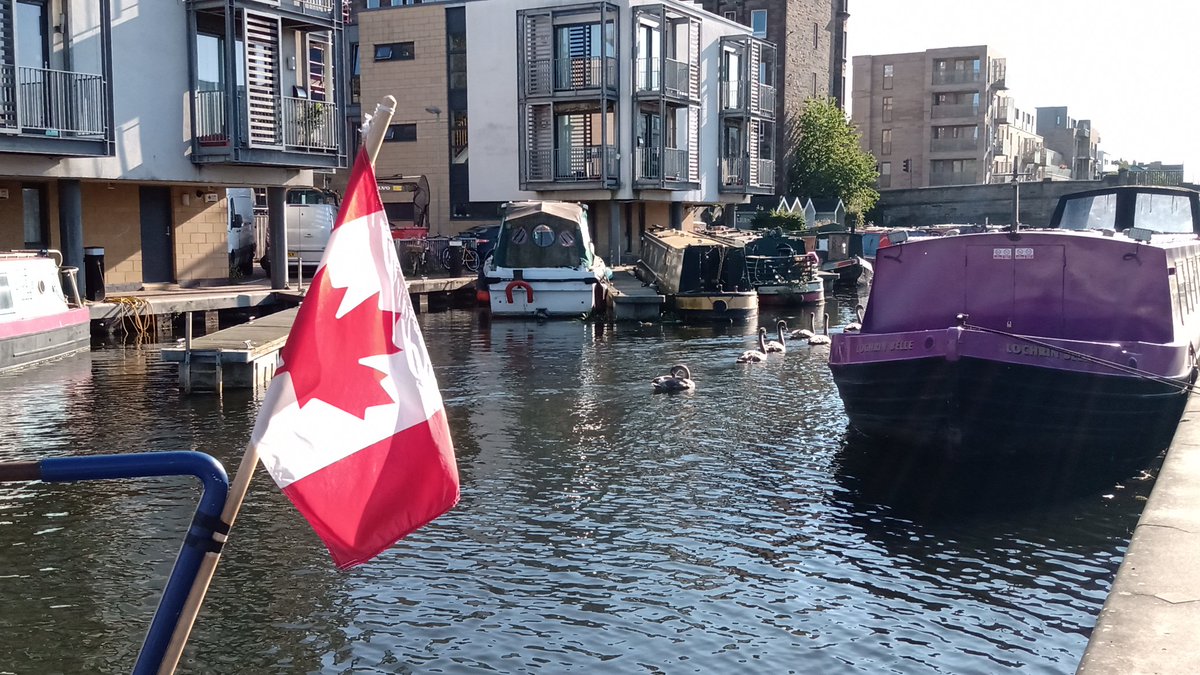 Following the <a href="/unioncanalswans/">Union Canal Swans ❤️🦢💙🌊💚🌍</a> along, somehow suspect there may be Canadians living on this narrowboat they're passing...

#Edinburgh #Canada