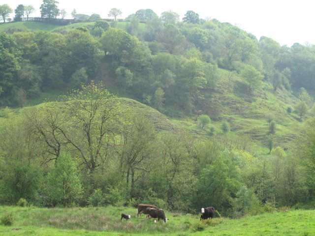We are recruiting a Farm Advice Lead Adviser and Tree Action Plan Delivery Lead Adviser .

If you have the ecological skills and can work with partners to deliver #NatureRecovery apply at: 

civilservicejobs.service.gov.uk/csr/index.cgi?…

@shropshireHour @jobConservation #ShropshireJobs @NFUShrops