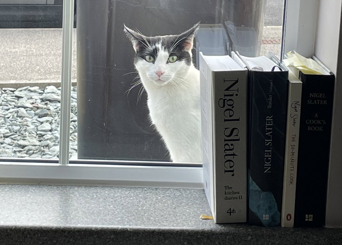 Zoe Davidson tweet media