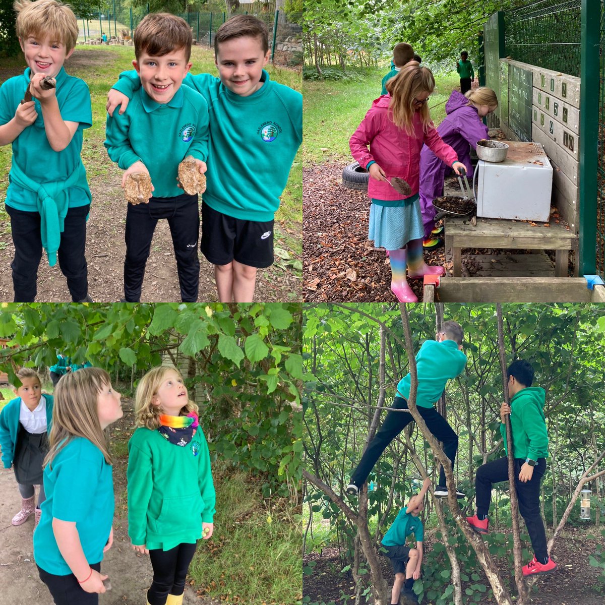 MorriceL's tweet photo. P4FM @hazleheadschool enjoyed free play in the messy garden today. Lots of imagination on show! Mud cafe, Star Wars duels, tree climbing, nut and seed gathering… fun! #getoutside #opportunity #HWB 🍃 🌿🌸💚 https://t.co/MX5N4BbRIj