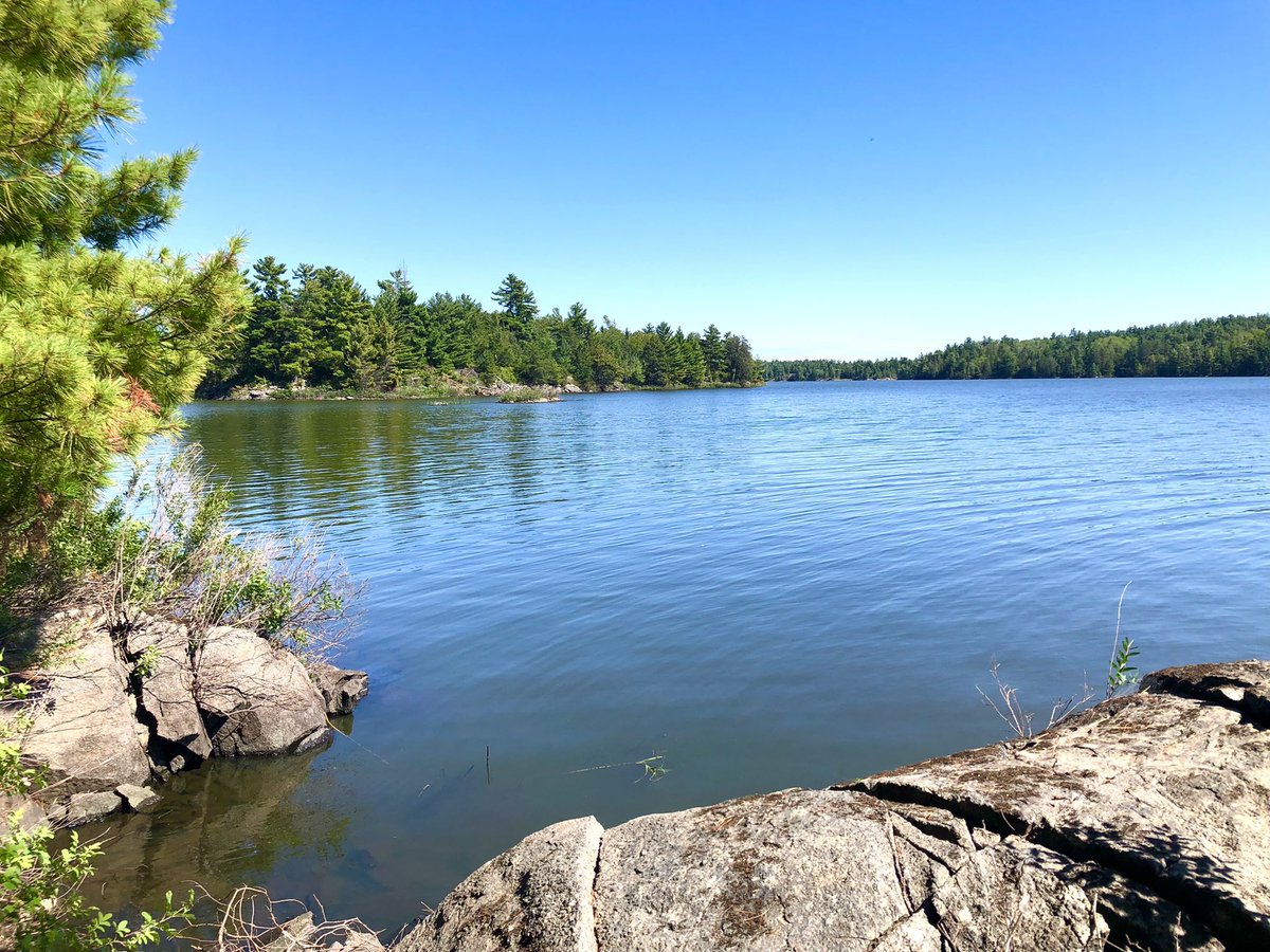 Jane_Gillon's tweet photo. Still working on clean up at the island although I must admit I am not getting much done today.
#RainyLake #DryIsland
#OnlyInNWO
#OnlyInMN
#WeShareALake https://t.co/jM55KDOKEf