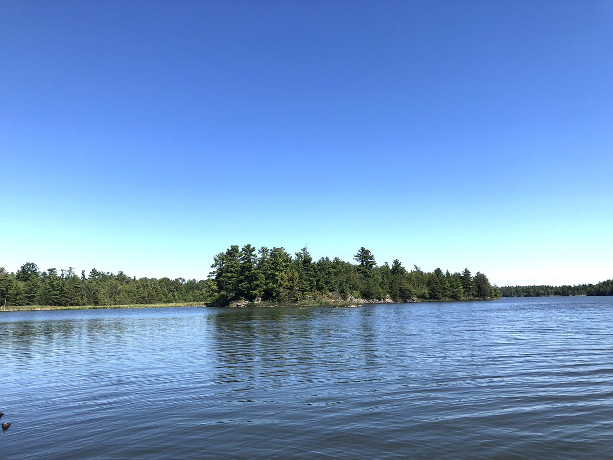 Jane_Gillon's tweet photo. Still working on clean up at the island although I must admit I am not getting much done today.
#RainyLake #DryIsland
#OnlyInNWO
#OnlyInMN
#WeShareALake https://t.co/jM55KDOKEf