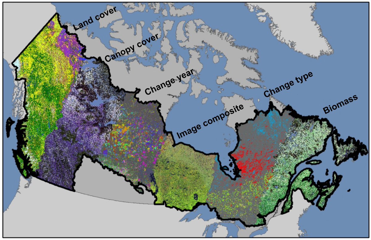 We have developed a National Terrestrial Ecosystem Monitoring System (#NTEMS) for #Canada.
-Goal science supported product development. 
#landcover #biomass #timeseries #forestinventory #forestrecovery #Landsat
For background or your own literature review:
researchgate.net/publication/35…
