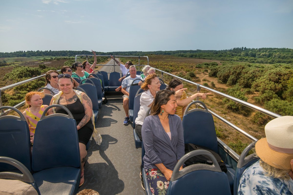 NewForestTour's tweet photo. 🌳🐴🚌 One of the best ways to explore and learn about the New Forest (until 18 September!) https://t.co/Su5fP9ndRs @Morebusco @BluestarHQ @GoNewForest @NewForestNPA @newforestranger @NewForestTravel #CarFreeDaysOut #AudioCommentary #NewForestFun #Summer2022 https://t.co/lWk8lzCsKA