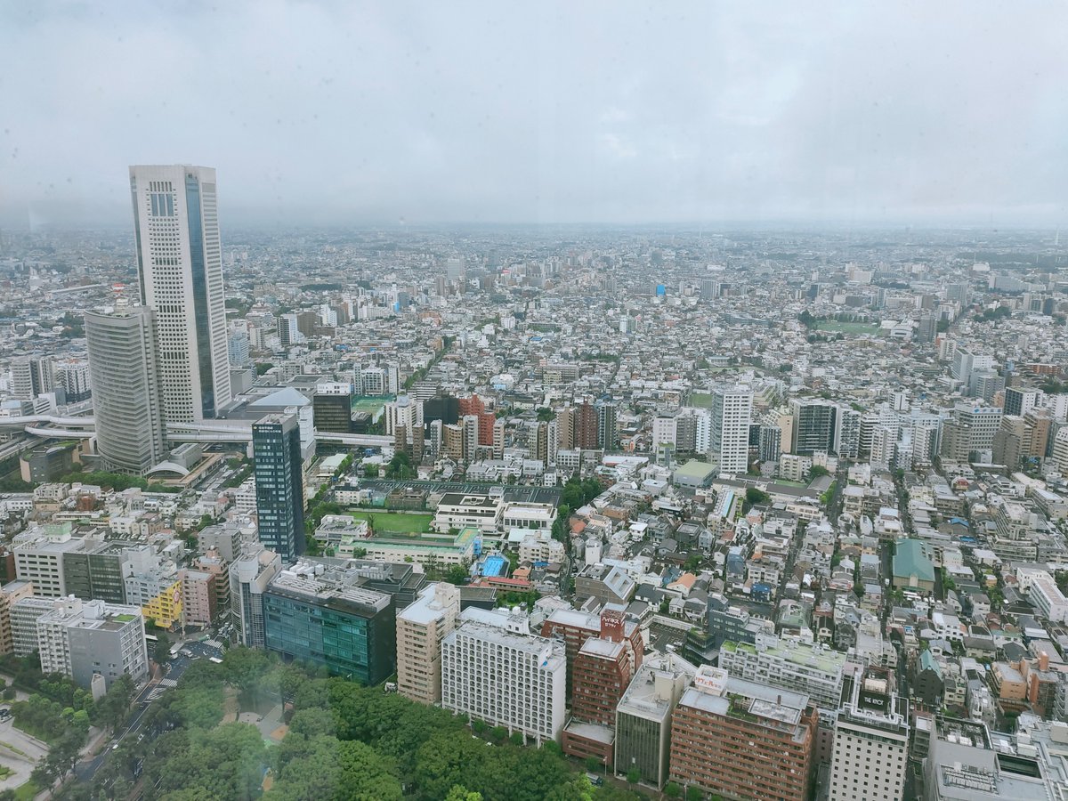 東京都庁の夜景 東京都 の情報 ウォーカープラス