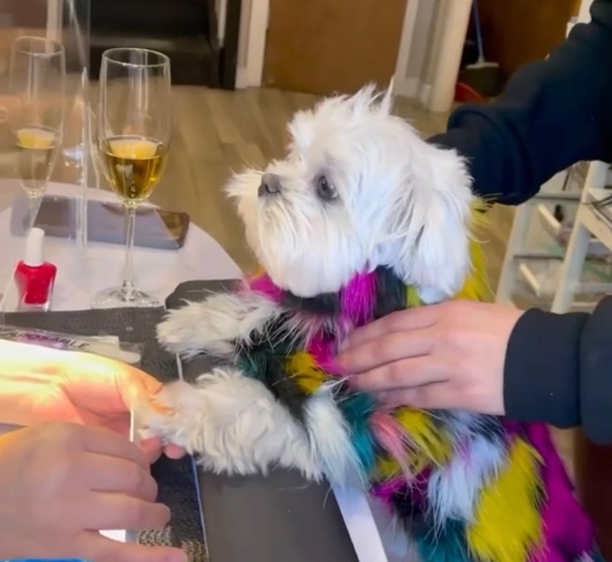 Who can relate?😌💅