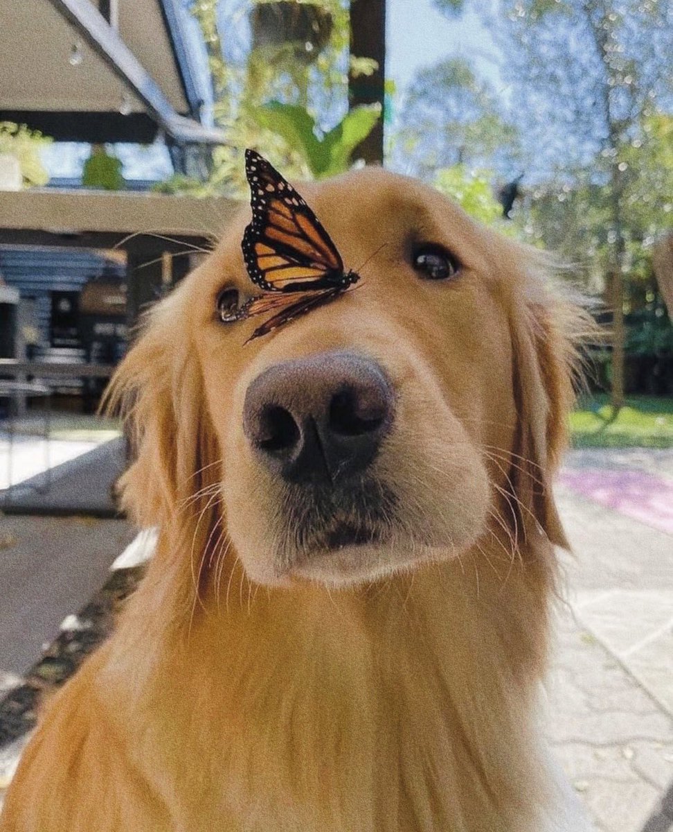 escritosrame's tweet image. 