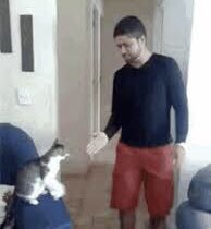 Linkc0n's tweet photo. #BadTimesToHighFive after there done taking a shitโฆ https://t.co/dnqjQxsQ3W