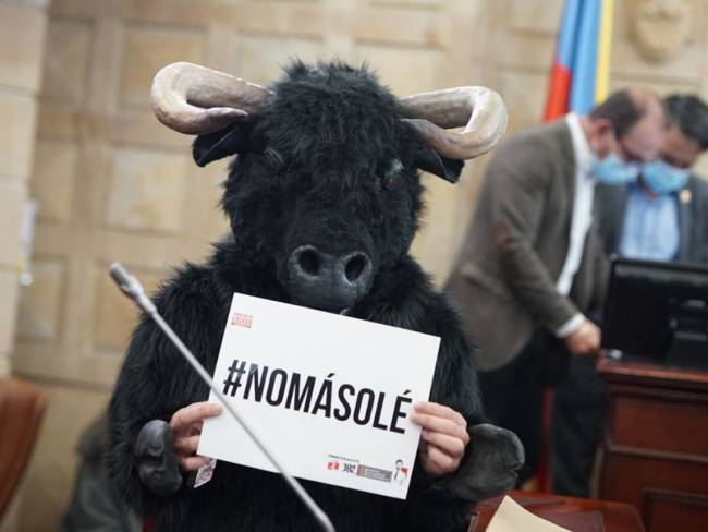 PlataformaALTO's tweet photo. Cámara aprueba, en primer debate, proyecto que prohíbe corridas de toros en el país #ColombiaSinToreo 
https://t.co/zQKB46emFZ Vía: @WRadioColombia https://t.co/uvc7AqvvgP