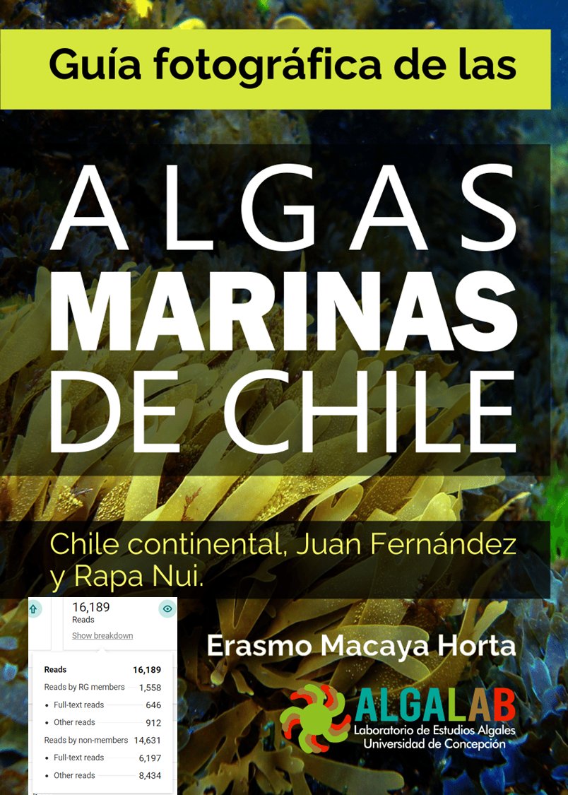 Pase y descargue gratis la "Guía Fotográfica de las Algas Marinas de Chile"
Mas de 16mil personas le han dado un vistazo y descargado en Researchgate 🙌 
Link👇
researchgate.net/publication/34…