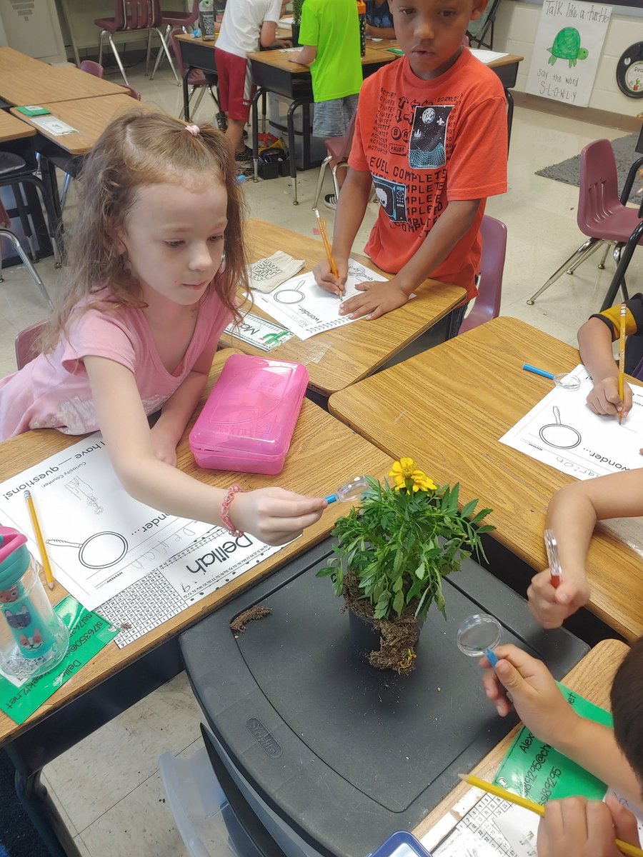 Eliana Roberts tweet media