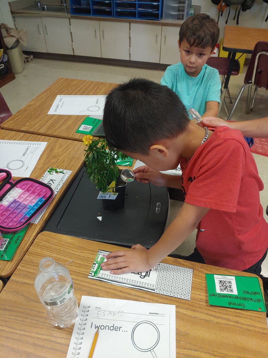 Eliana Roberts tweet media