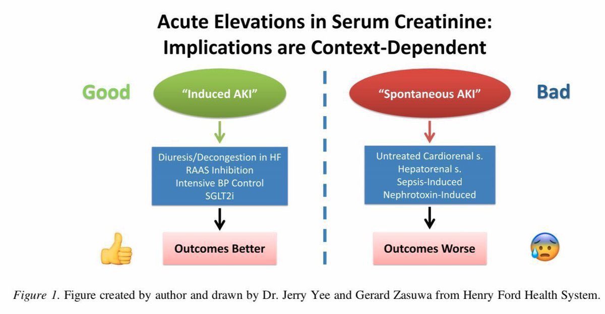 edgarvlermamd's tweet photo. @DouglasPearson @NephroPeeps Not all elevations in serum creatinine portend bad outcomes‼️
#Nephpearls #NephSAP https://t.co/B5ZMR1Y6SS