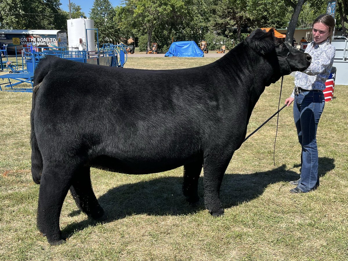 Absolute unit!! 🦍