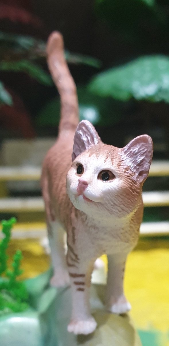 Darren Naish on Twitter "AnimalFigureOfTheDay is another pet cat from