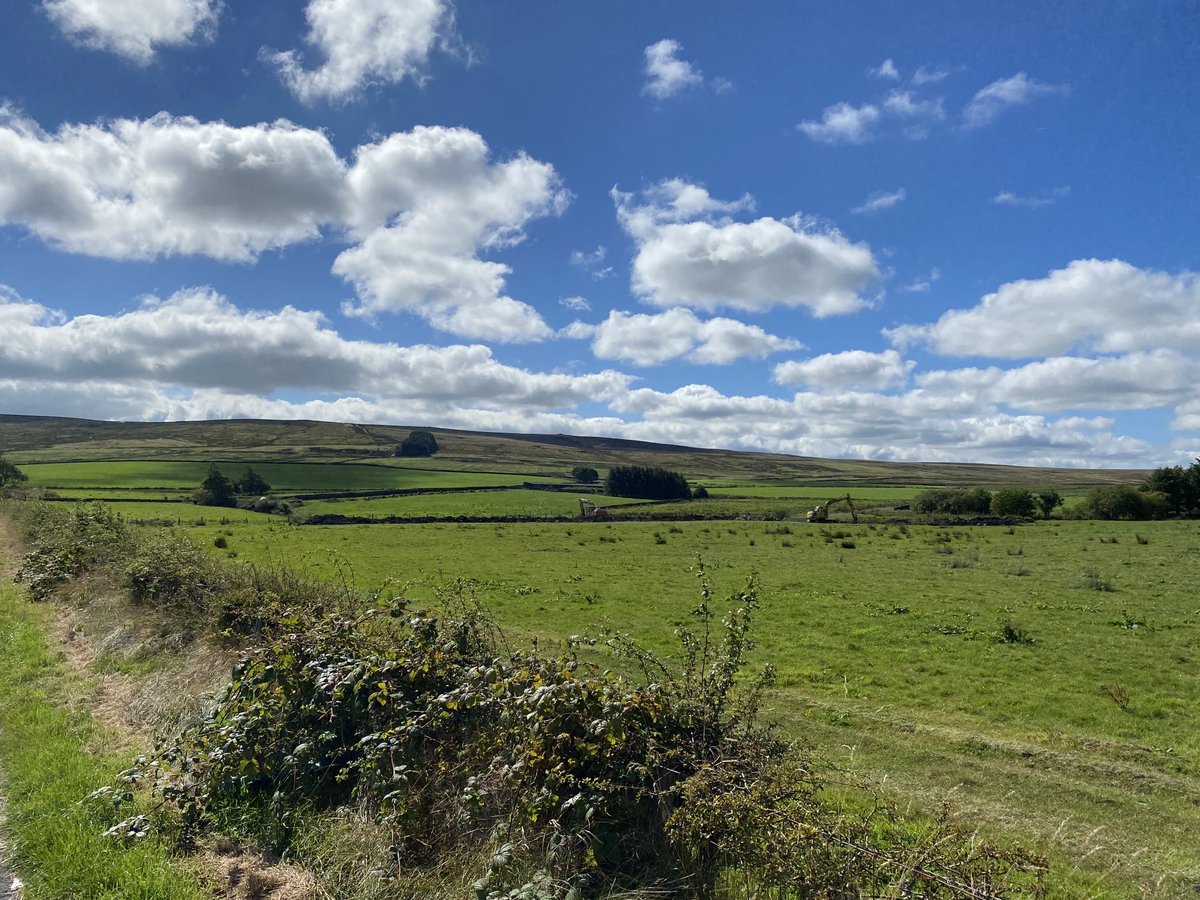 Spent the morning talking ⁦@CurlewLIFE⁩ on the Antrim plateau this morning. Incredibly hard work by the staff resulted in best year yet. But so much more to do!