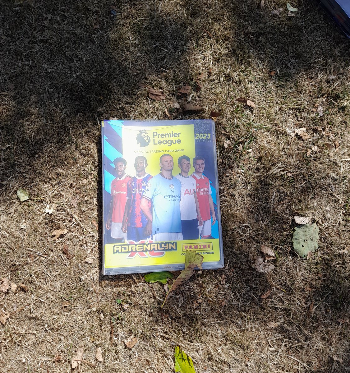 The Wall Street traders would have nothing on the kids in my estate when it comes to Adrenalyn football card swaps. Trading had ceased by lunchtime, deals were done,stocks were abandoned and football on the green resumed 😊 <a href="/OfficialPanini/">Panini UK & Ireland</a> <a href="/premierleague/">Premier League</a>