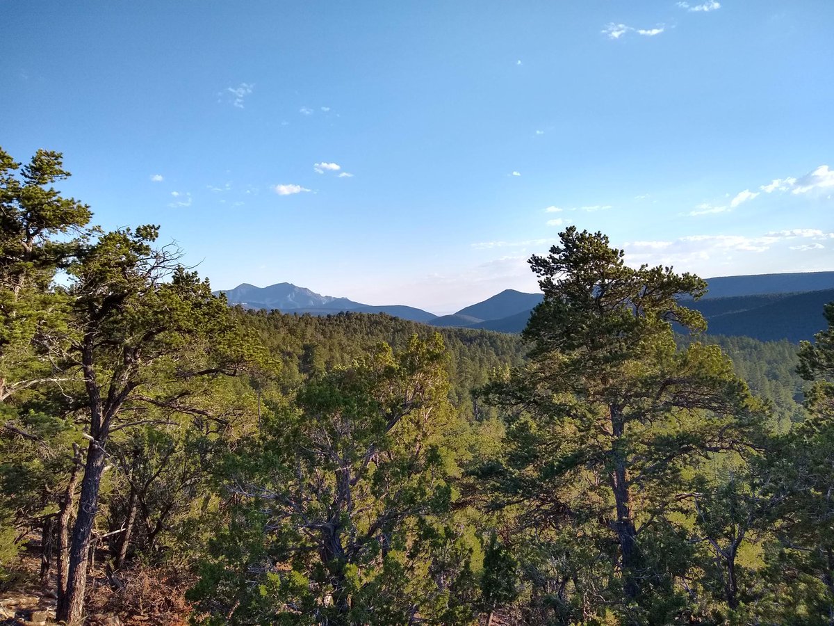 Ben McBride tweet media