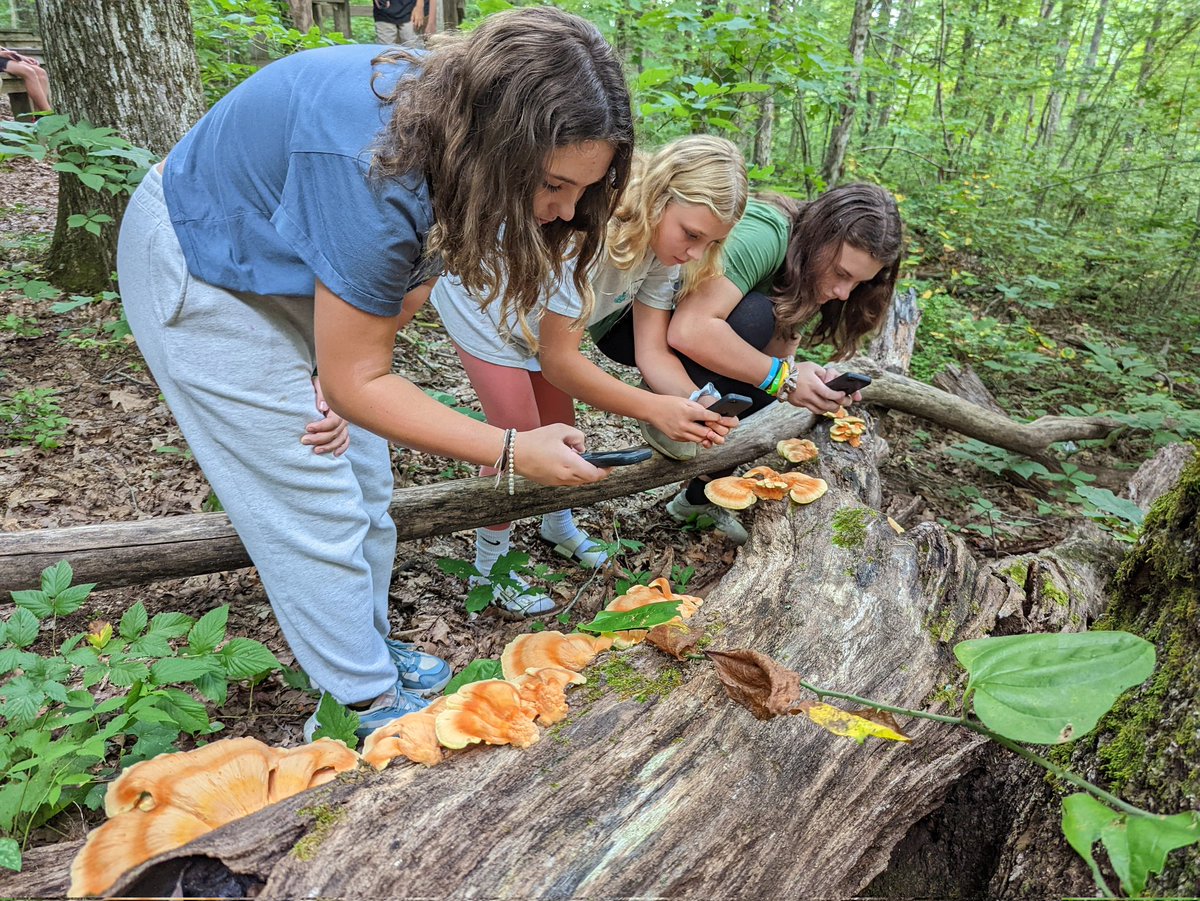 mrsbrownincr's tweet image. The kids are enjoying our citizen science unit and are learning how to navigate inaturalist.  One thing is for sure when these wild, loud, and rowdy middle school kids are in the woods - you are not going to see any wildlife. #SMMHSEagles #SMMHSSoars