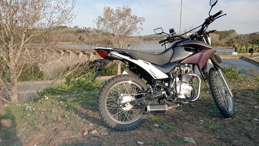Paseíto 🤭🥰 con la camaleón https://t.co/iiJmtQx7MF