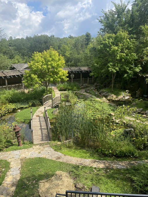 Thankful 2 be on this earth 🔋 https://t.co/otiZWkYxUi