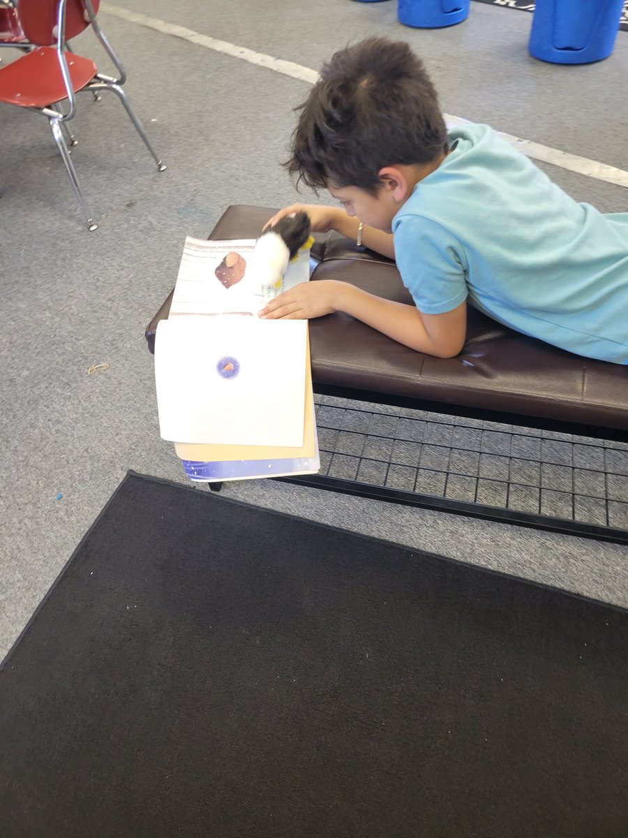 Mandy Franks tweet media