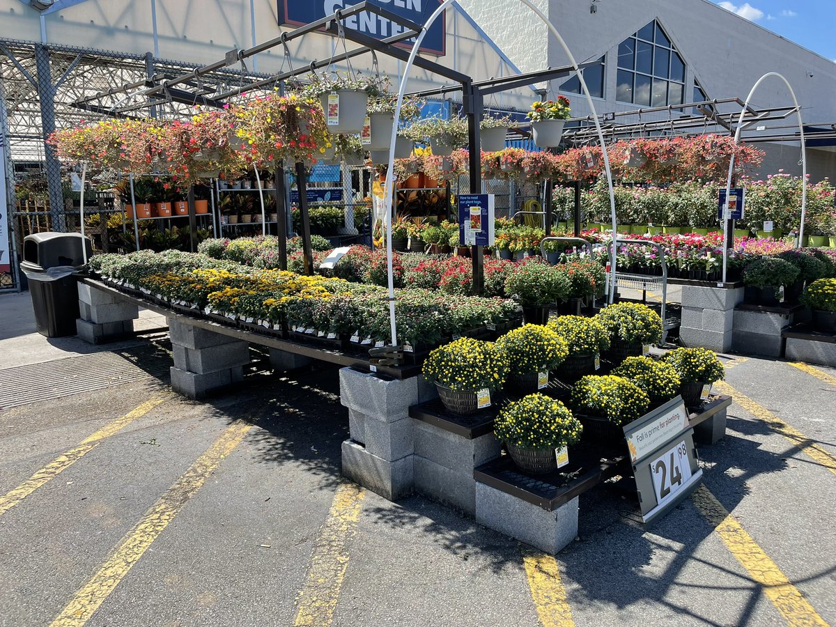 The feel of Fall is in the air today at Lowes 1196 in Athens, TN. Get the look of Fall for your home!  We have Fall decor for every taste and every budget!!@lowesplantlife @sgarrison_PPRM @PlantPartners @867District @lowesplantlife