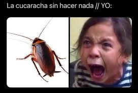 si soy