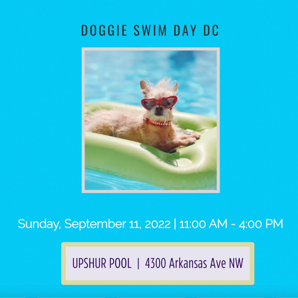 CMLewisGeorgeW4's tweet photo. π DOGGIE SWIM DAY IS BACK! πΆ
π Upshur Pool
ποΈ Sunday, September 11
π 11am - 4pm
β¬οΈ RSVP:
https://t.co/h0eaCQth38
Free and open to all dogs with a valid and original DC Health dog license! Dog licenses can also be issued on site. #Ward4 #UpshurPool #Petworth https://t.co/XEUPucTD2v
