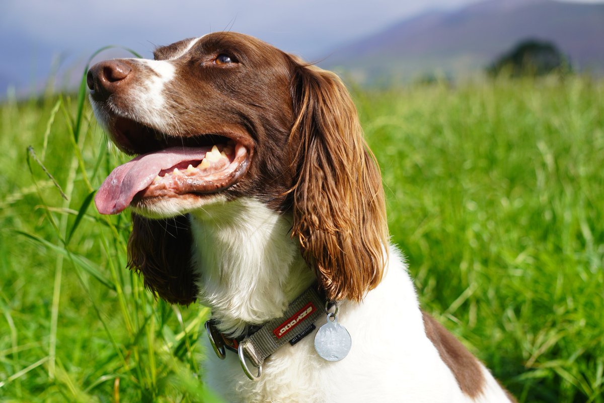 Dr Caroline Finlay tweet media