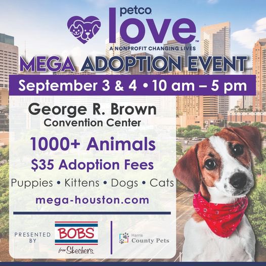 In need of service hours? Here’s a great opportunity this weekend, and all ages can volunteer.
To sign up to volunteer, use the following link! 
mega-houston.com