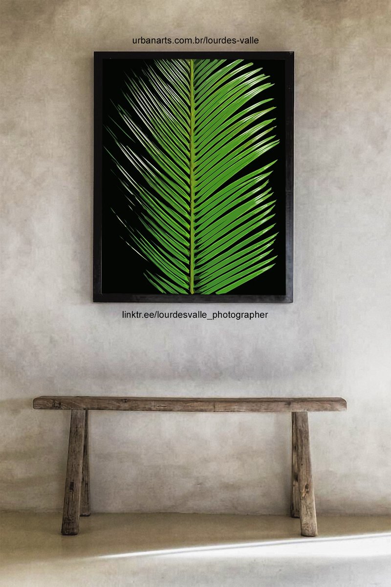 loulouvalle's tweet photo. .
Compre #quadros sem sair de casa!
.
#compreonline #comprepelosite #comprepelowhatsapp
👇🏻 👇🏻 👇🏻
https://t.co/sBnxT3sIA3
.
#decô #decor #decoracao #decoração #LourdesValle https://t.co/H5rjs4jf43