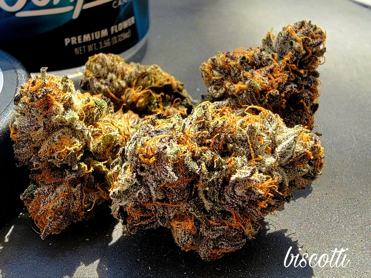 Happy Wednesday fam! Sorry I'm late, but ya know...Biscotti for your body!! My favorite strain. What's yours? GO! #Mmemberville #CannabisCommunity #StonerFam #cannabisphotos