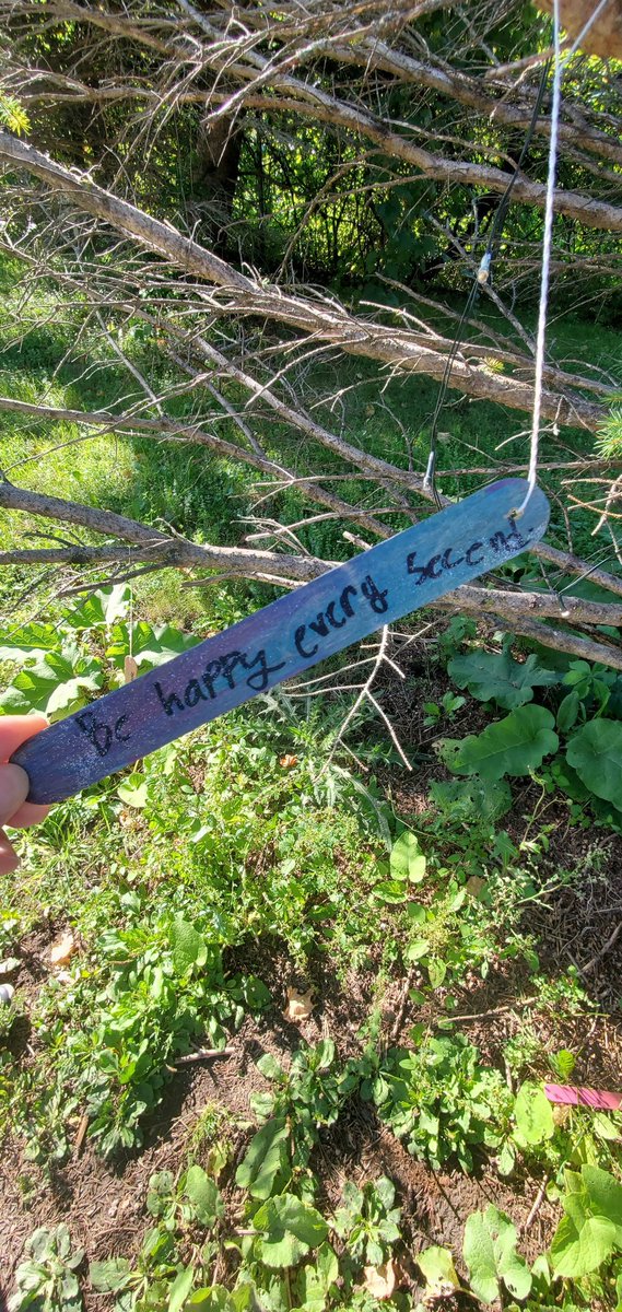 D_Morgan_Forman's tweet photo. Kiddo and i just saw this amazing tree of hope and positivity on our walk/bike ride this evening. ❤️ https://t.co/es7nBPBZWa