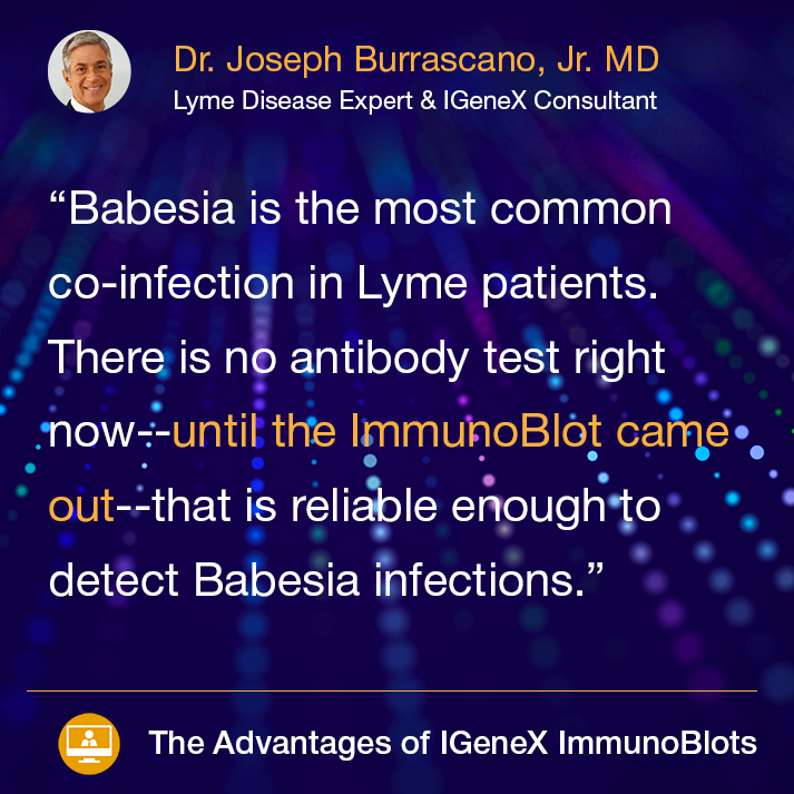 The IGeneX Babesia ImmunoBlots are now available. This test is a first of its kind. Learn the basics of the Babesia ImmunoBlots in just 5 minutes. Watch below. 

youtube.com/watch?v=DR7_na…

#babesia #immunoblot #lyme #coinfections #tickbornedisease #igenex #infectiousdiseases #ticks