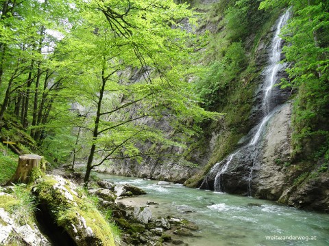 Österreichischer #Weitwanderweg 05, 9. Etappe, von #Hochbärneck über #Tormäuer, #Schindlhütte, #Raneck, #Lackenhof und #Ötscherwiese zum #Ötscher #Schutzhaus - mit Kompass Karte unterwegs am #WWW05 im #Naturpark #ÖtscherTormäuer… dlvr.it/SXYthc Outdoors Austria