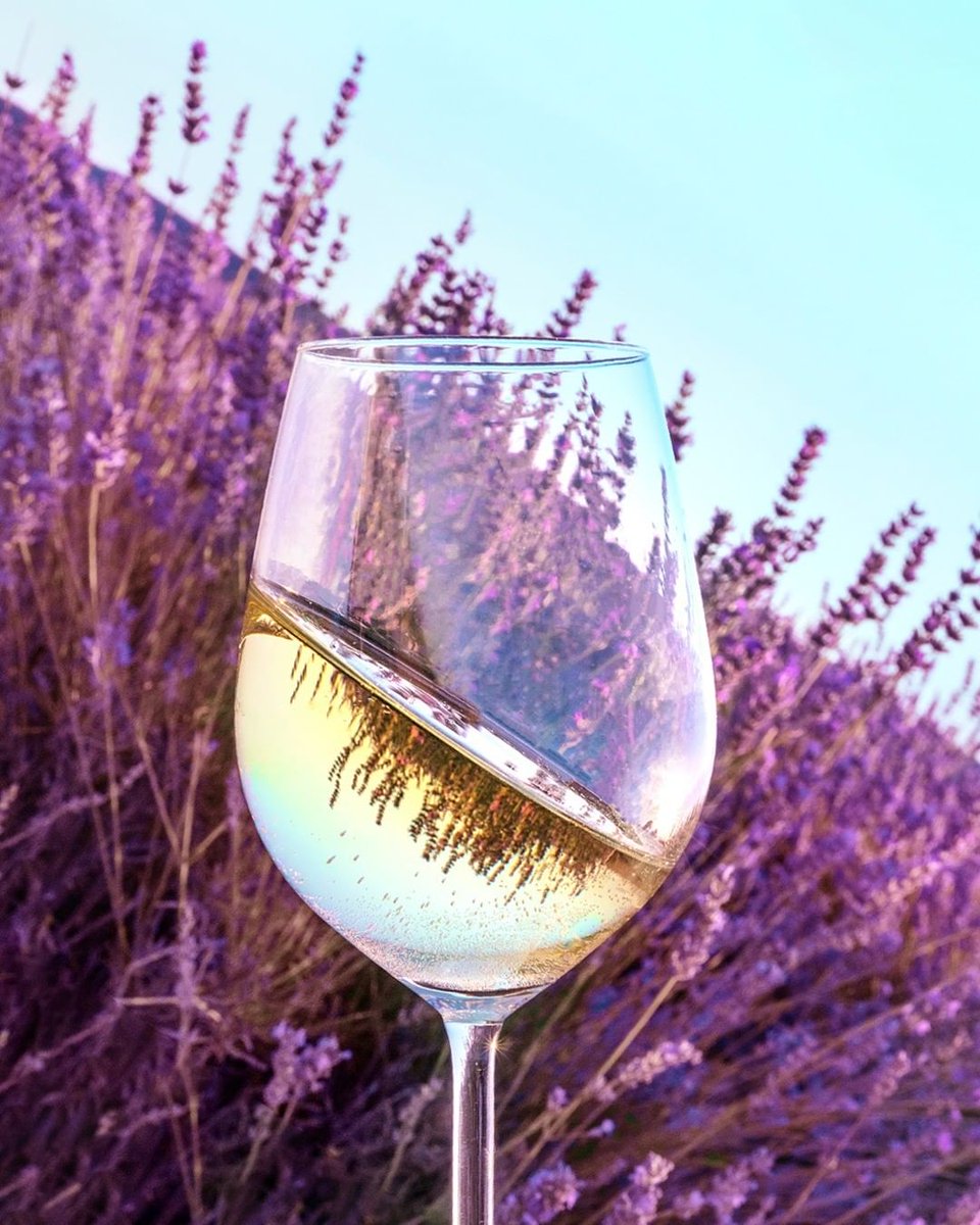 We helped @constellationbrands <a href="/kimcrawfordwine/">Kim Crawford Wines</a> bypass 25% out of stocks and drive 4x conversion with inventory targeted media. Cheers to that!

Contact for the full case study.

📸: <a href="/kimcrawfordwine/">Kim Crawford Wines</a>