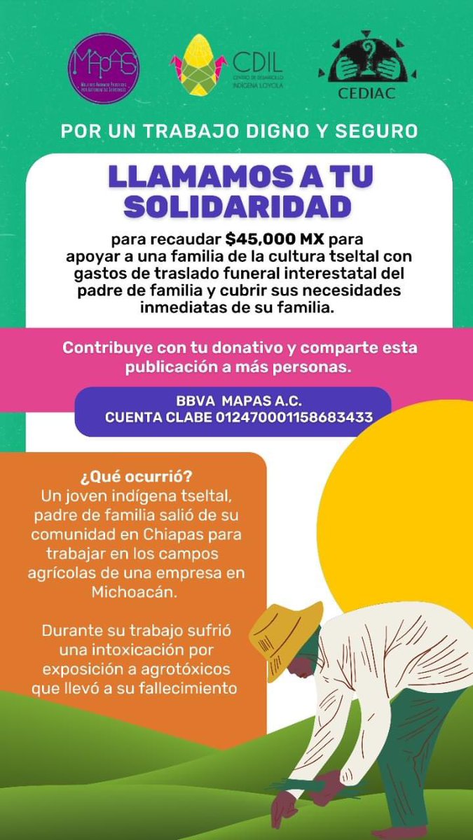 Centro de Desarrollo Indígena Loyola tweet media