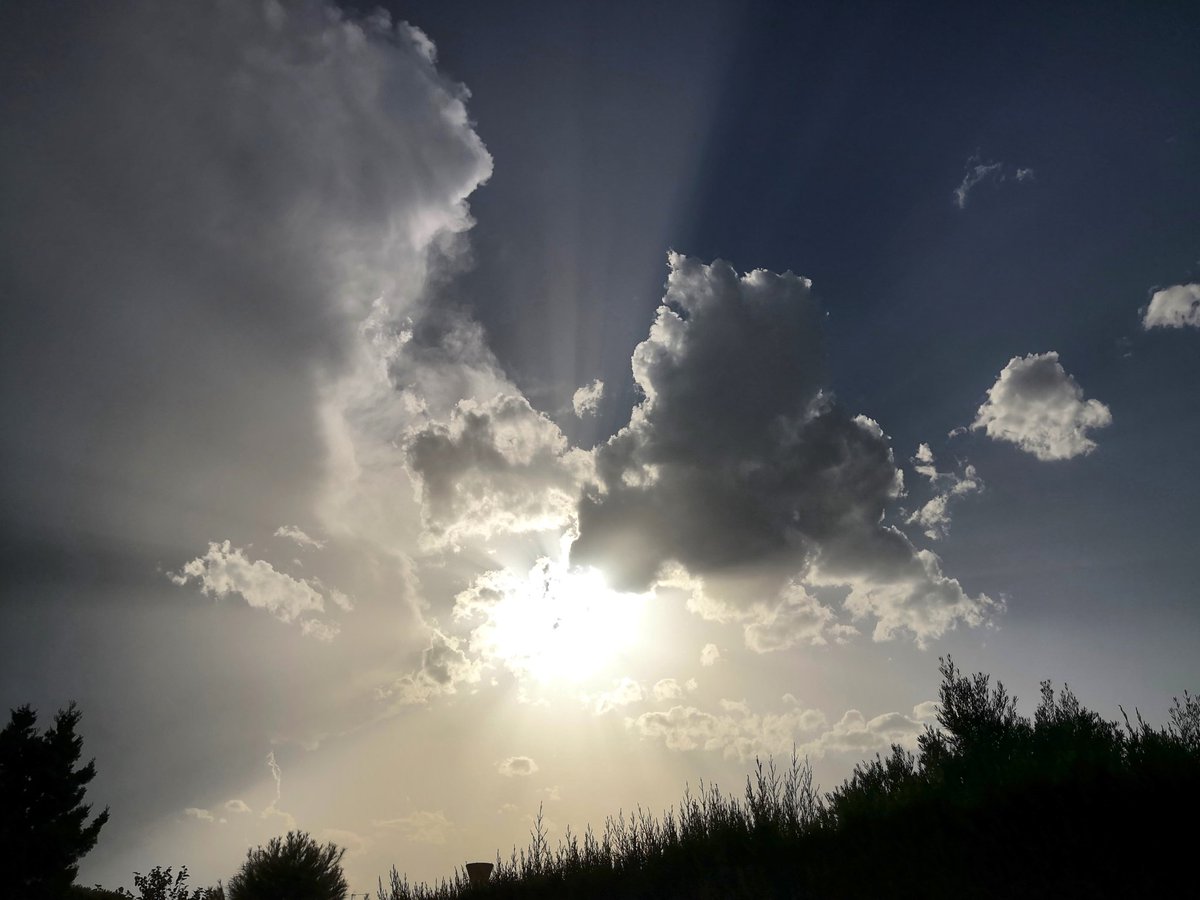 meteoecovisual's tweet photo. Restos de #tormentas y #rayoscrepusculares desde #riumar la tarde del 30 de agosto
#Terresdelebre #deltadelebre #pndeltadelebre
#deltadelebro
#meteofoto
#lluvia #nubes
#cielos #cielo
#tormenta #tormentas #ecazatormentas
#cazatormentas #meteorología
#observadormeteorólogico https://t.co/4fNLx5LKhh