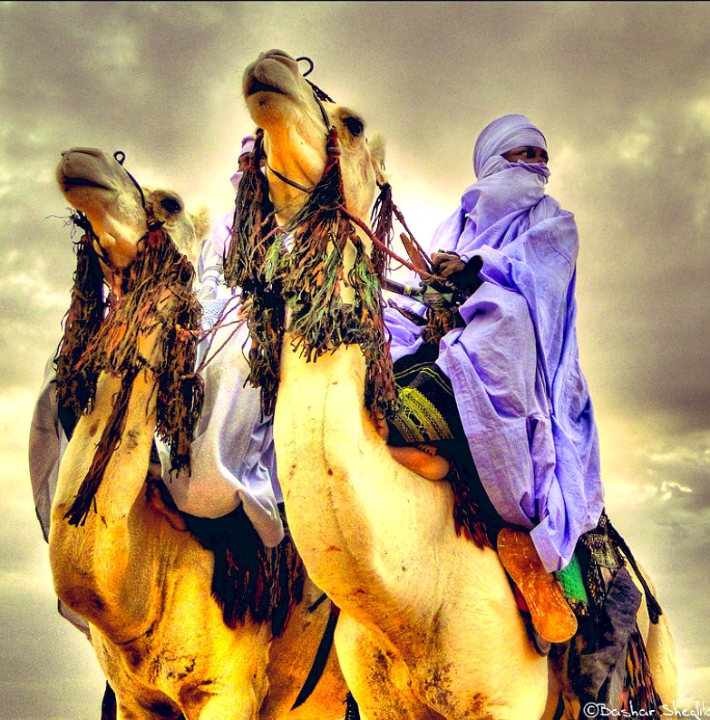 Knights of the Desert! Tuareg of Daraj, Libya 🇱🇾♥️🖤🐪🫶🏾

📸 Bashar Shglila