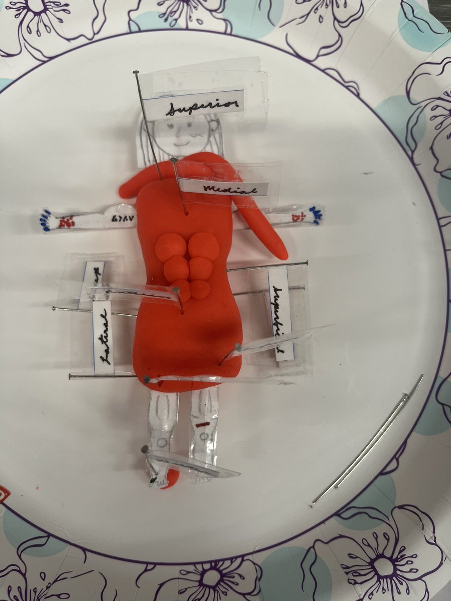 NurseVenner's tweet photo. Medical Assisting students reviewed terminology and directional terms by creating play dough people! #CardinalCTE #CardinalsRise #MelissaSchools https://t.co/fHtcTmMfqf