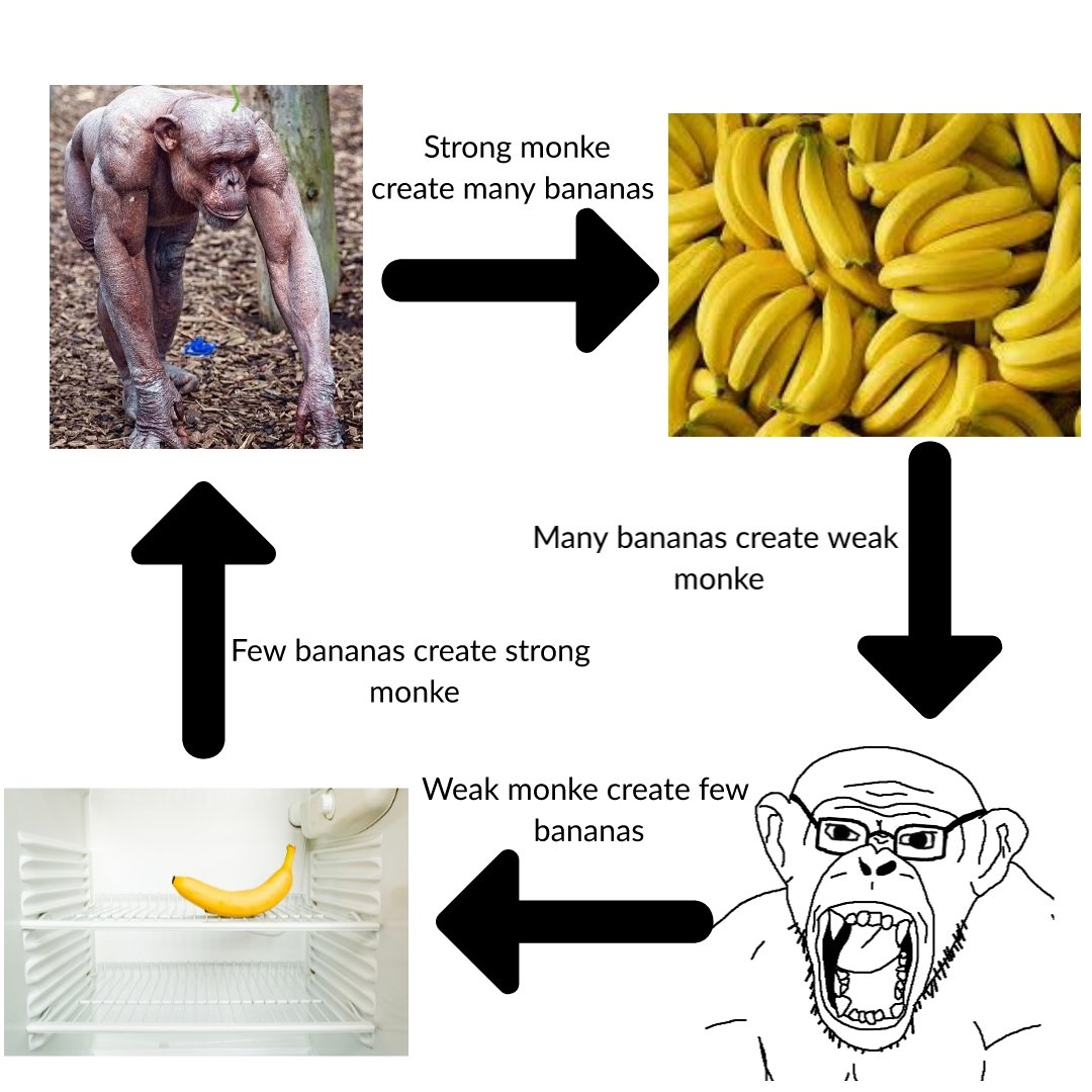 DailyMonkeyApe's tweet photo. monke life cycle https://t.co/oaZoMDU5UN