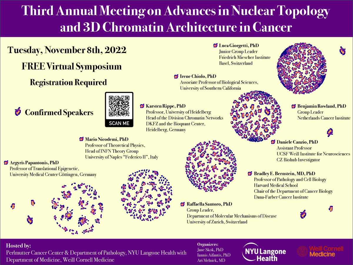 Register now for our exciting free virtual Third Annual Meeting on Advances in Nuclear Topology and 3D Chromatin Architecture