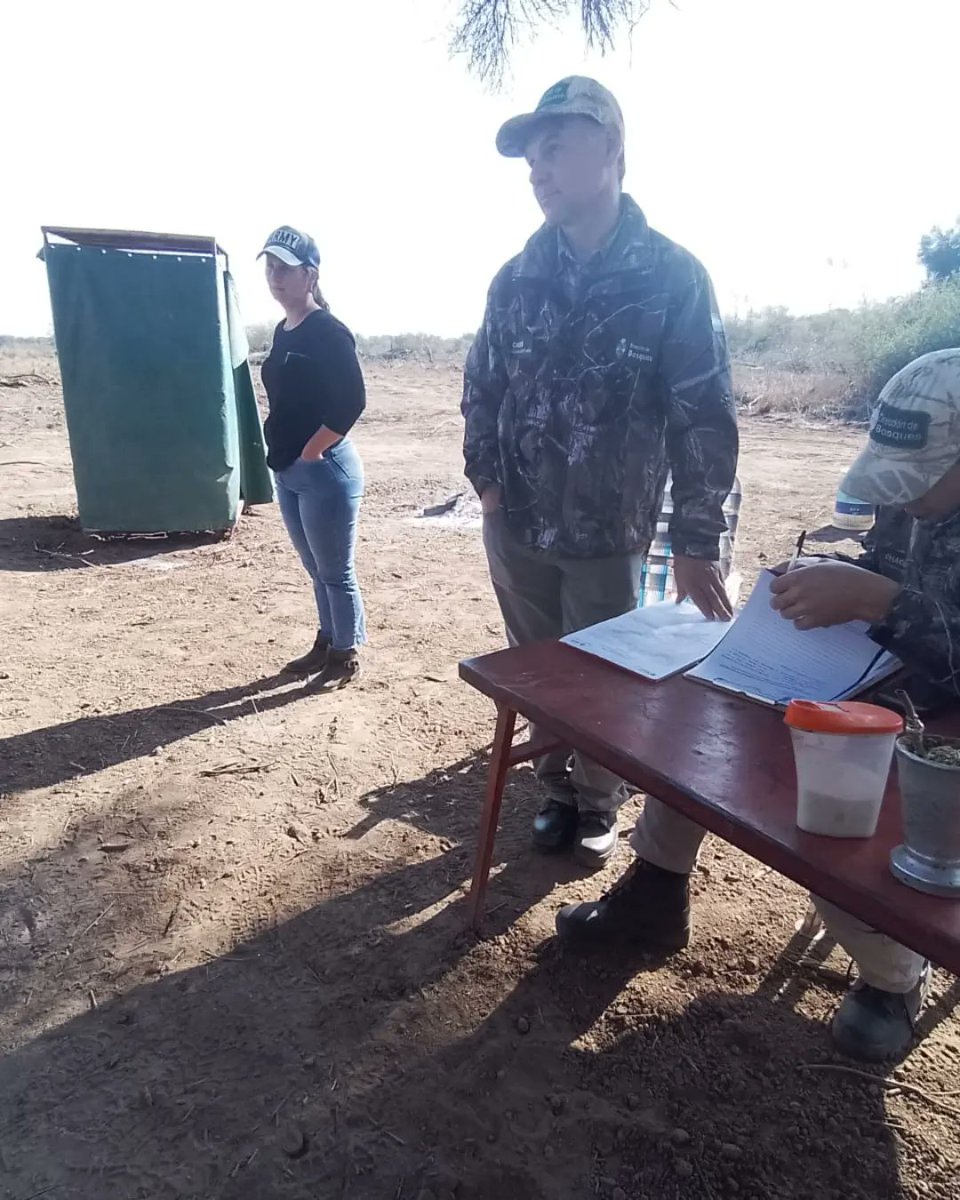 Dirección de Bosques tweet media