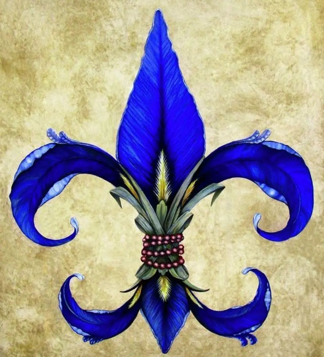 Fleur-de-Lis Ирис
