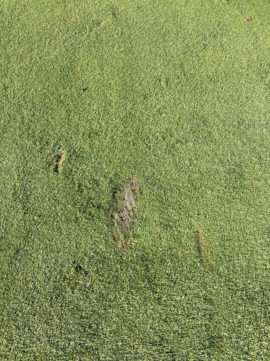 C’mon people! Our hard working grounds crew deserves better. #golfcordovabay